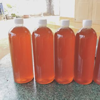 MẬT ONG HOA CÀ PHÊ CHAI 1 LÍT