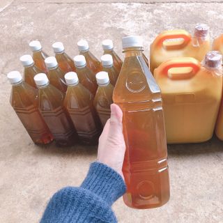 MẬT ONG HOA BÔNG TRẮNG