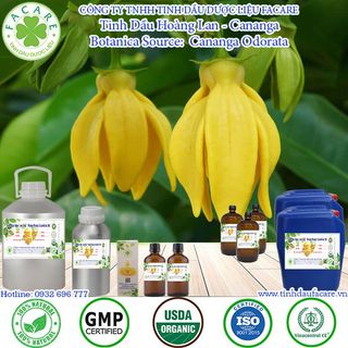 Tinh dầu Hoàng Lan Cananga essential oil giúp tinh thần hứng khởi - 10ml