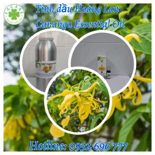Tinh dầu Hoàng Lan Cananga essential oil giúp tinh thần hứng khởi - 10ml
