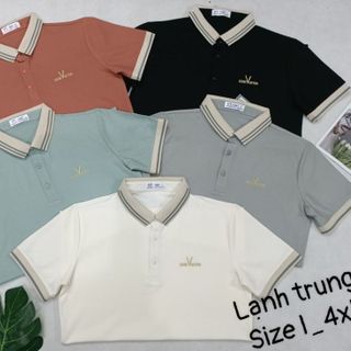 ÁO THUN NAM CỔ TRỤ ĐẸP.