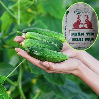 Phân thỏ hoai mục 3DG Bao 5kg