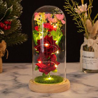 Hoa Hồng đèn led