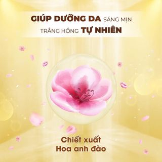 MẶT NẠ DỊCH YẾN