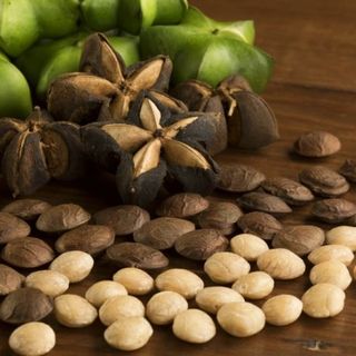 Nhân hạt Sachi rang sấy Tuk Green