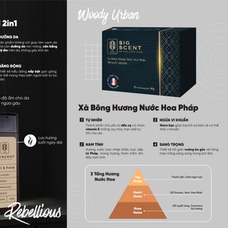 Sữa tắm dầu gội cho nam hương nước hoa Rebellious 2in1 thương hiệu SIGSCENT 375ml
