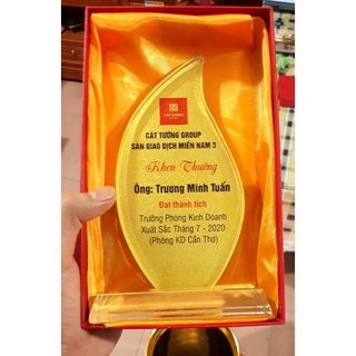 (Qùa tặng) Hộp đựng biểu trưng/cúp/kỷ niệm chương màu đỏ sang trọng 22.5x15.5x6.5cm