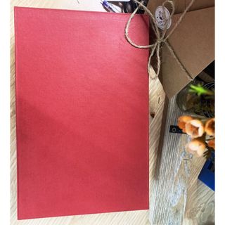 (Qùa tặng) Hộp đựng biểu trưng/cúp/kỷ niệm chương màu đỏ sang trọng 22.5x15.5x6.5cm