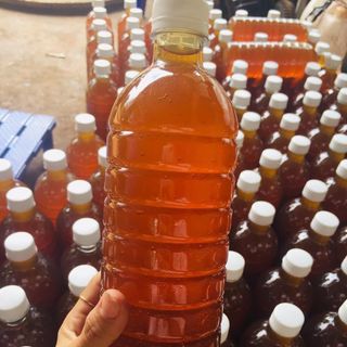 Mật ong hoa cà phê Tây Nguyên nguyên chất