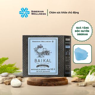 Thực phẩm bảo vệ sức khỏe Trà thảo mộc Baikal tea collection. Herbal tea №4 30 túi lọc giá sỉ