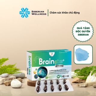 Brain Plus GP Pharm, bổ não, hỗ trợ hoạt huyết, tăng cường lưu thông máu não, hộp 30 viên giá sỉ
