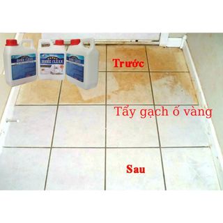 Nước tẩy gạch men, xi măng, rong rêu cũ thành mới 1200g