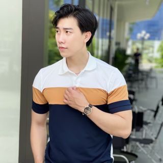POLO, ÁO POLO NAM, ÁO THUN NAM PHỐI MÀU LỊCH LÃM P99