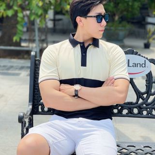 POLO, POLO NAM PHỐI MÀU P109