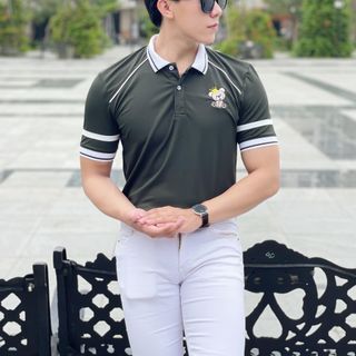 POLO, ÁO POLO NAM, ÁO THUN NAM THÊU GẤU RÊU P87