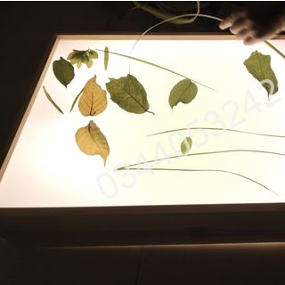 Bàn ánh sáng cho bé kích thước 30x40x14cm, gỗ thông tặng kèm đồ chơi và cát màu – SONG ANH DECOR