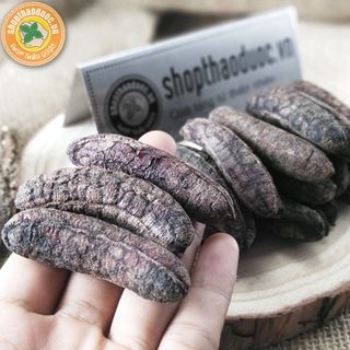 Chuối hột rừng chín mật - Chuối hột rừng hàng loại 1 nguyên trái