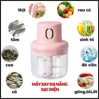 Máy xay tỏi ớt giá sỉ