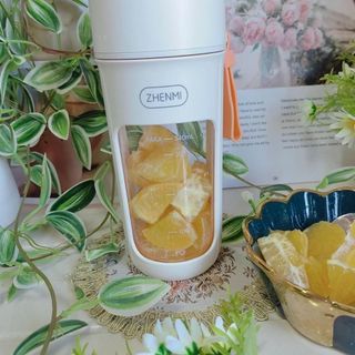 Máy xay sinh tố không dây cầm tay Zhenmi 10 lưỡi
