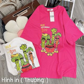 Áo thun nữ tay lỡ cổ tròn in hình chất vải cotton khô loại 1 xịn sò giá gốc tận xưởng hàng sẵn số lượng lớn