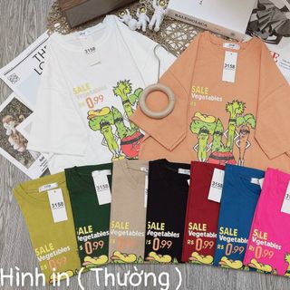 Áo thun nữ tay lỡ cổ tròn in hình chất vải cotton khô loại 1 xịn sò giá gốc tận xưởng hàng sẵn số lượng lớn