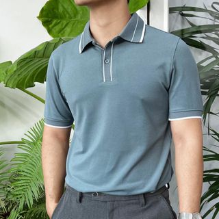 Áo Polo đơn giản, thanh lịch, nhiều màu A02-146