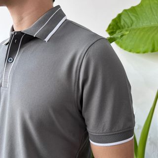 Áo Polo đơn giản, thanh lịch, nhiều màu A02-146