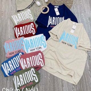 Áo thun nữ cổ tròn tay lỡ form rộng thun cotton khô loại 1 dày dặn xịn sò đẹp giá gốc tận xưởng hàng sẵn số lượng lớn