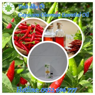 Tinh Dầu Ớt Capsicum Oleoresin essential oil - 10ml giá sỉ