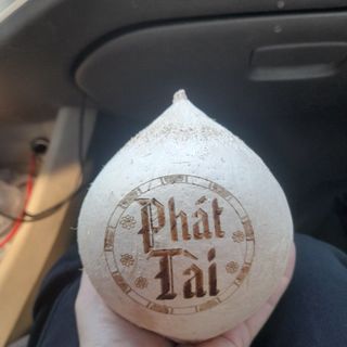 DỪA XIÊM BẾN TRE