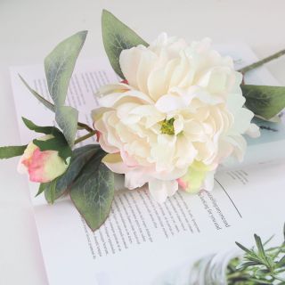 Hoa Mẫu Đơn