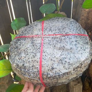 🫓 Bánh tráng bột gạo