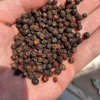 Tiêu nguyên hạt giá sỉ