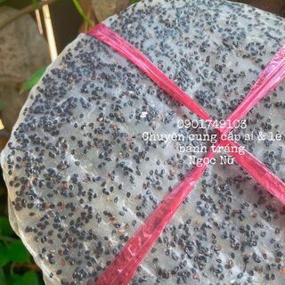Bánh tráng bột gạo - Mè đen