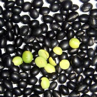 ĐẬU ĐEN XANH LÒNG HỮU CƠ TÚI 1KG