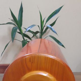 Loa siêu trầm Subwoofer Lightspace Audio LS.AS1.14D20