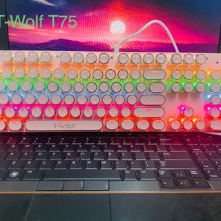 KEYBOARD T-WOLF T75 Phím cơ Punk mạ bạc Led USB White/Black/ Pink colour ( 104 phím tròn ,Blue Swich )