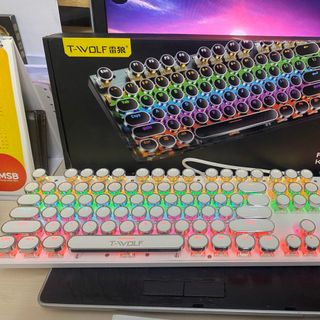 KEYBOARD T-WOLF T75 Phím cơ Punk mạ bạc Led USB White/Black/ Pink colour ( 104 phím tròn ,Blue Swich )