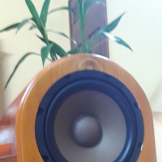 Loa siêu trầm Subwoofer Lightspace Audio LS.AS1.14D20