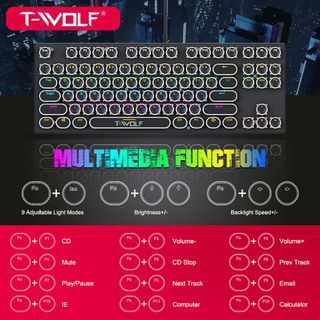 KEYBOARD T-WOLF T12 Phím cơ Punk mạ bạc Led USB White/Black colour ( 87 phím tròn ,Blue Swich )