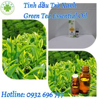 Tinh dầu Trà Xanh Green Tea essential oil giúp chăm sóc da hiệu quả - 10ml giá sỉ