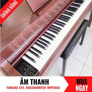 Đàn Piano Điện Yamaha CLP-545 Cảm Ứng Đàn Hồi Động Cơ Rời