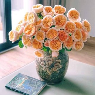 Tìm npp nước dưỡng hoa