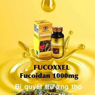 Fucoxxel More than Fucoidan