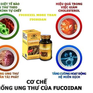 Fucoxxel More than Fucoidan