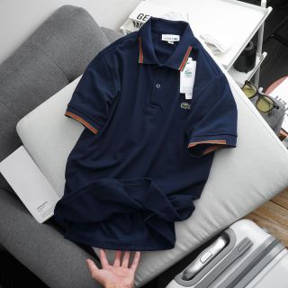 Áo thun polo nam, áo thun cổ bẻ nam cao cấp, chất liệu cá sấu 4 chiều dày. Vải đẹp dày, chuẩn đường kim mũi chỉ - size từ 48kg - 90kg.