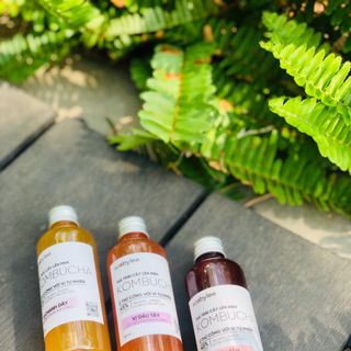 KOMBUCHA SCOBYLEE