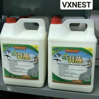 Dung dịch chống mốc gỗ Natali VX/Dung dịch đặc trị mốc gỗ Super Tali can 5l giá sỉ