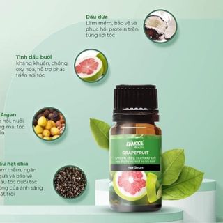 [ Chính Hãng ]  Tinh dầu dưỡng, Kích Thích Mọc Tóc - Grapefruit Hair Serum - Damode