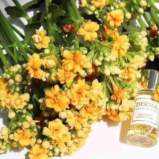 [ Chính Hãng ] Tinh Chất Phục Hồi Da từ Vàng 24k - Derma Gold Serum